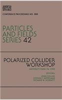 Polarized Collider Workshop