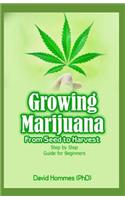 Growing Marijuana