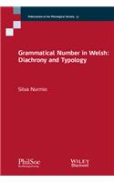 Grammatical Number in Welsh