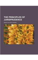 The Principles of Jurisprudence