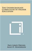 Undergraduate Curriculum In Higher Education