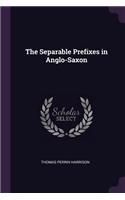 The Separable Prefixes in Anglo-Saxon