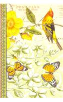 Bird Collage Notecards
