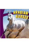 Arabian Horses