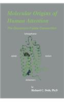 Molecular Origins of Human Attention