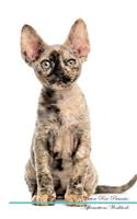 Devon Rex Affirmations Workbook Devon Rex Presents: Positive and Loving Affirmations Workbook. Includes: Mentoring Questions, Guidance, Supporting You.