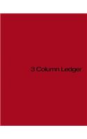 3 Column Ledger