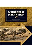 Wildebeest Migration