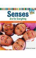 Senses Are for Everything: The Five Senses