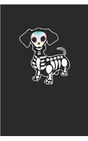Dachshund Skeleton