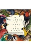 The Meaning of Birds