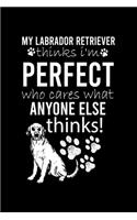 My Labrador Retriever Thinks I'm Perfect Who Cares What Anyone Else Thinks: Cute Labrador Retriever Default Ruled Notebook, Great Accessories & Gift Idea for Labrador Retriever Owner & Lover.Default Ruled Notebook With An In