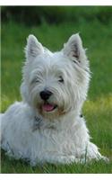 West Highland Terrier Westie Striking a Pose Journal: Take Notes, Write Down Memories in this 150 Page Lined Journal