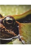 Frog Notebook Large Size 8.5 x 11 Ruled 150 Pages
