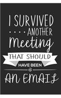 I Survived Another Meeting That Should Have Been An Email