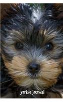Yorkie Journal