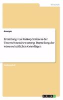 Ermittlung von Risikoprämien in der Unternehmensbewertung. Darstellung der wissenschaftlichen Grundlagen