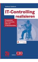 It-Controlling Realisieren