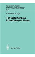 The Distal Nephron in the Kidney of Fishes