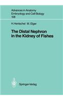 Distal Nephron in the Kidney of Fishes