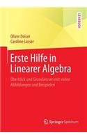 Erste Hilfe in Linearer Algebra: Uberblick Und Grundwissen Mit Vielen Abbildungen Und Beispielen