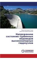 Napryazhennoe Sostoyanie Turbinnykh Vodovodov Vysokonapornykh Gidrouzlov