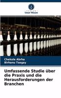 Umfassende Studie über die Praxis und die Herausforderungen der Branchen