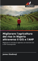 Migliorare l'agricoltura del riso in Nigeria attraverso il GIS e l'AHP