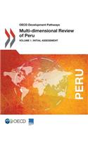 Multi-dimensional review of Peru: Vol. 1: Initial assessment(Multi-dimensional review of Peru)