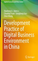 Development Practice of Digital Business Environment in China