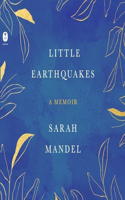 Little Earthquakes