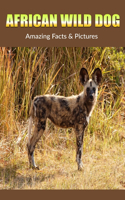 African Wild Dog