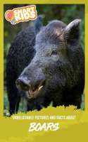 Unbelievable Pictures and Facts About Boars