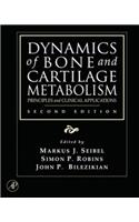 Dynamics of Bone and Cartilage Metabolism