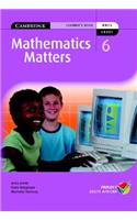 Mathematics Matters Grade 6 Learner's Book