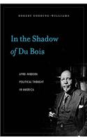 In the Shadow of Du Bois