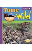 Tame and Wild