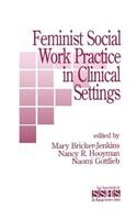 Feminist Social Work Practice in Clinical Settings