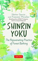 Shinrin Yoku: The Rejuvenating Practice Of Forest Bathing
