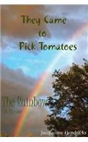 They Came to Pick Tomatoes, The Rainbow