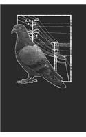 Pigeon With Electric Wire: Pigeons Notebook, Blank Lined (6 x 9 - 120 pages) Animal Themed Notebook for Daily Journal, Diary, and Gift