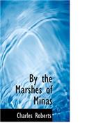 By the Marshes of Minas