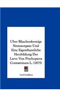 Uber Blaschenformige Sinnesorgane Und Eine Eigenthumliche Herzbildung Der Larve Von Ptychoptera Contaminata L. (1875)