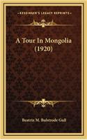 A Tour in Mongolia (1920)