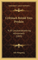 Cyfrinach Beirdd Ynys Prydain: Ys Ef Llwybreiddiaeth Ag Athrawiaeth (1829)(Spanish)