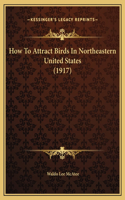 How To Attract Birds In Northeastern United States (1917)