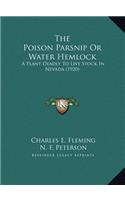 The Poison Parsnip Or Water Hemlock