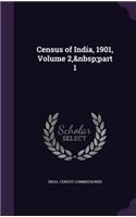 Census of India, 1901, Volume 2, part 1: (English)