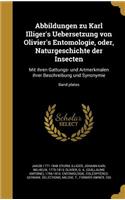Abbildungen Zu Karl Illiger's Uebersetzung Von Olivier's Entomologie, Oder, Naturgeschichte Der Insecten