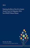 Studying the Role of Sox10 in Enteric Neural Crest Cell Migration with Sox10ngfp Mouse Mutant: (English)